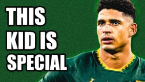 Sacha Feinberg-Mngomezulu Springboks tries and points stats