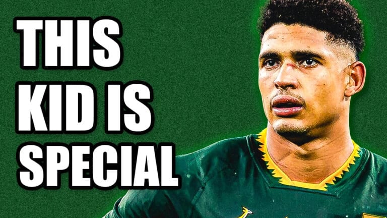 Sacha Feinberg-Mngomezulu Springboks tries and points stats