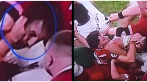 Eben Etzebeth red card incident vs Wales close-up