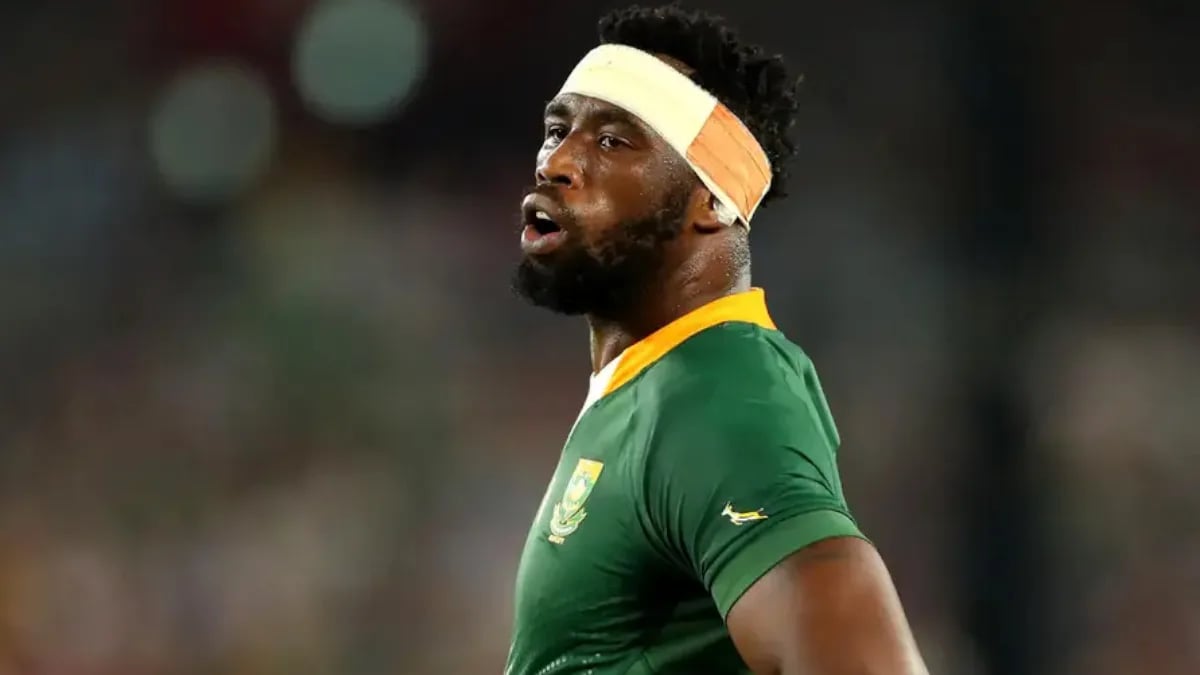 Siya Kolisi pitch invader moment: the Springboks captain who stepped in after security tackled a fan at FNB Stadium springboks captain
