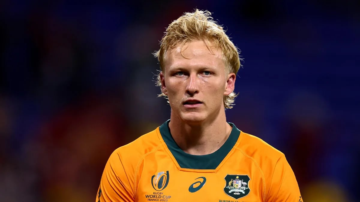 The Wallabies Team To Play Argentina Is Missing Harry Wilson