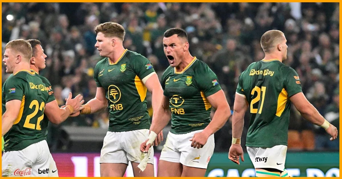 Springboks player ratings: Morné van den Berg dummies off the back of a maul to score against the All Blacks in Baltimore