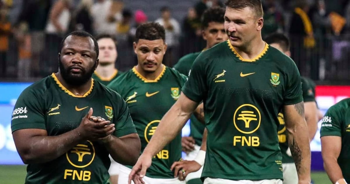Springboks player ratings: Springboks players in green applaud the crowd as they walk off the field