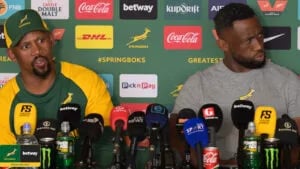 Mzwandile Stick Says The Springboks Defence Has No Problem. Nine All Blacks Tries Say He Is Half Right.